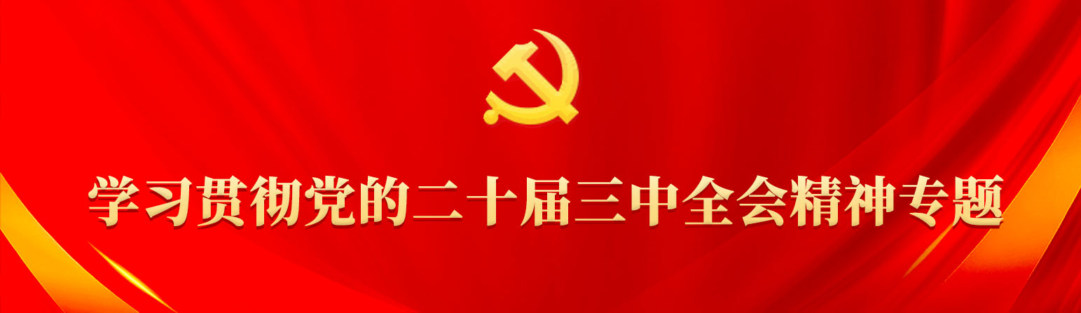 学习贯彻党的二十届三中全会精神